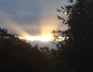 blessing in criticism